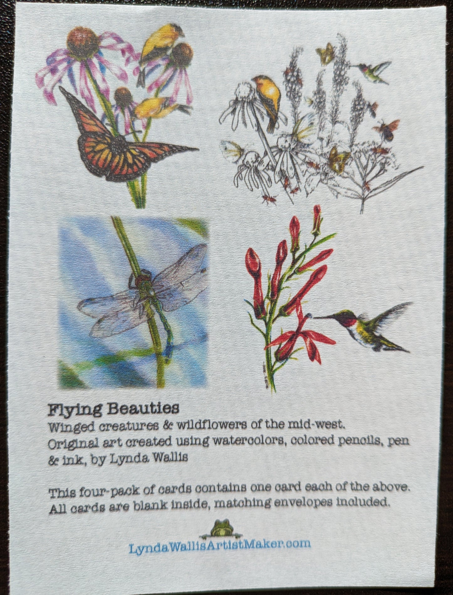 Flying Beauties Cards, Pack of 4 Assorted