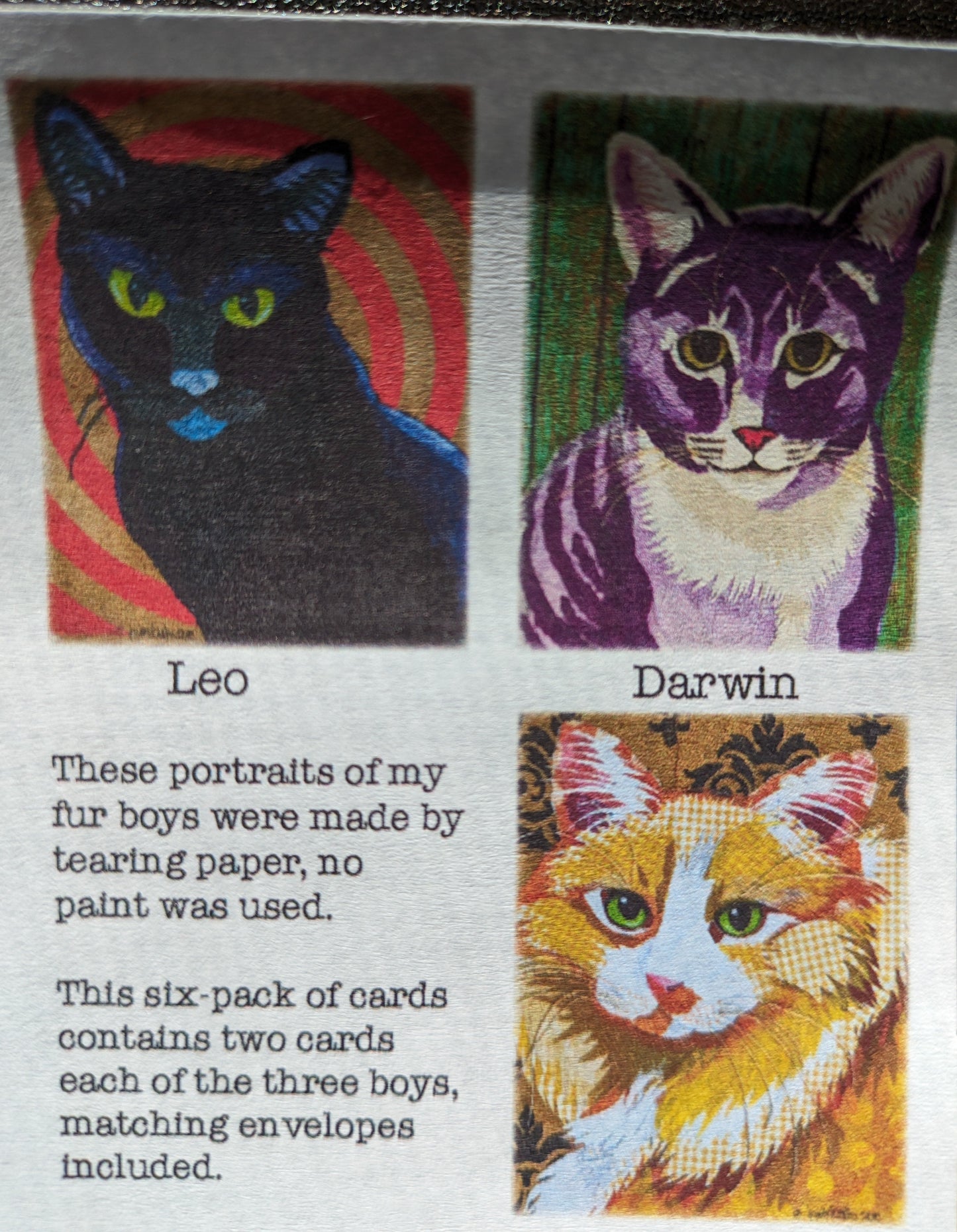 Cats Cards, Pack of 6 Assorted