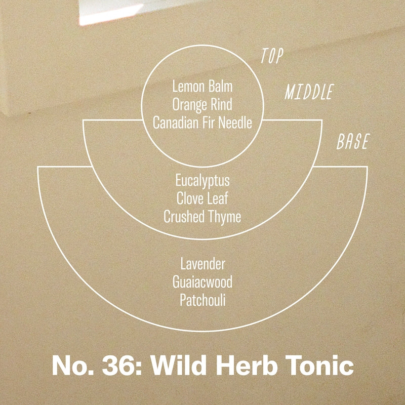 Reed Diffuser, Wild Herb Tonic, 3.5 oz
