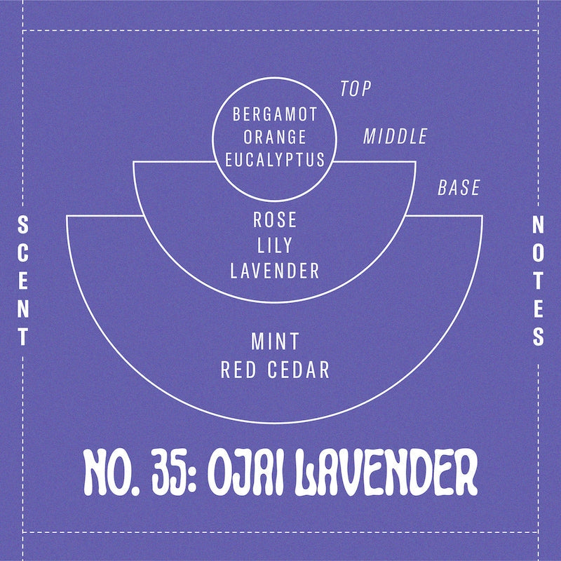 Reed Diffuser, Ojai Lavender, 3.5 oz