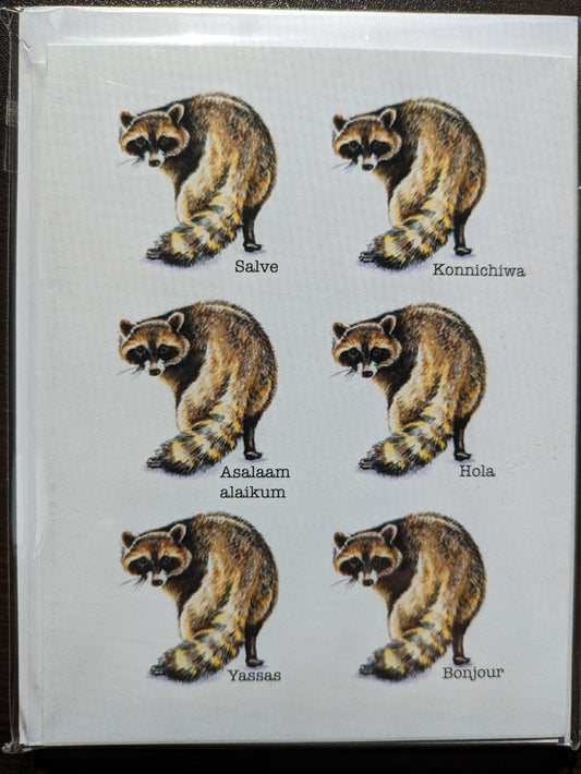 Raccoon cards, Pack of 4