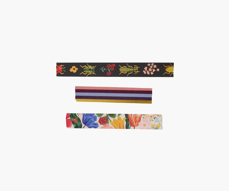 Washi Tape, Curio, set of 3 by Rifle Paper Co