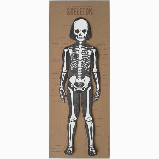 Skeleton Articulated Figure