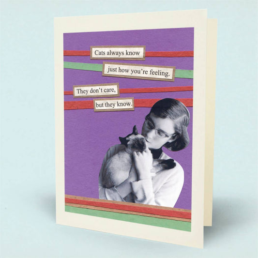 Cats Don't Care Card