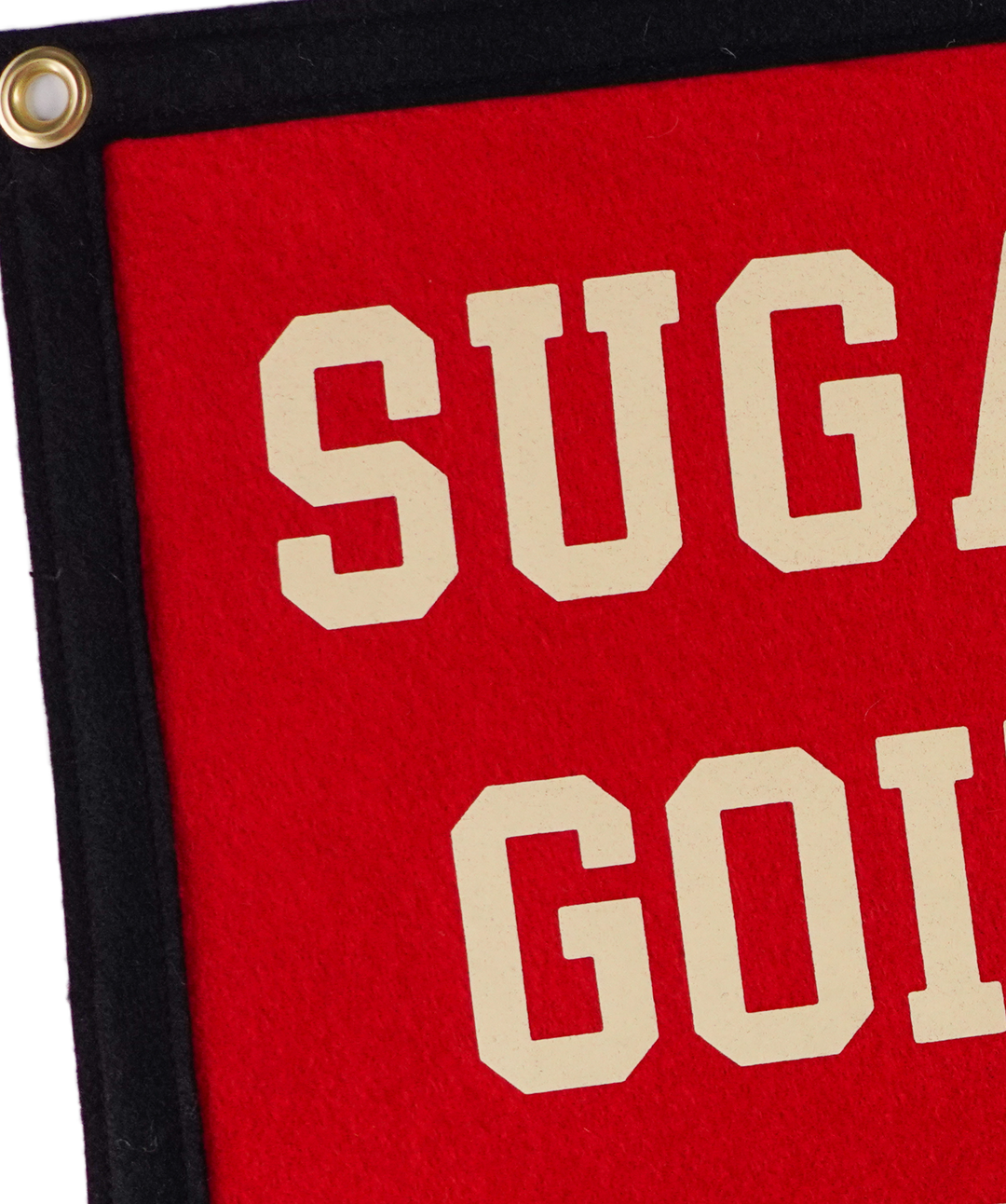Going Down Swingin' Camp Flag