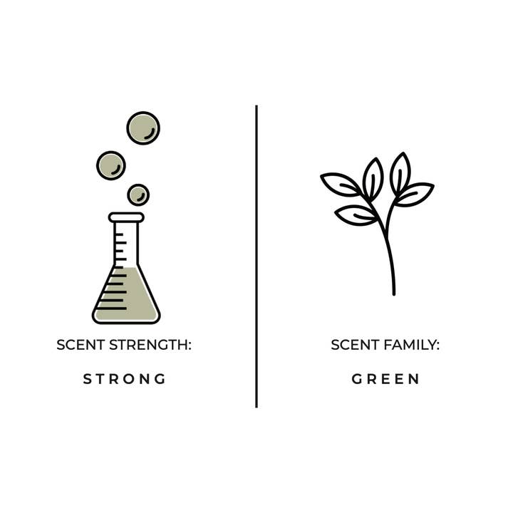 Diagram showing a beaker with bubbles labeled 'Scent Strength: Strong' and a drawing of a leaf labeled 'Scent Family: Green.'