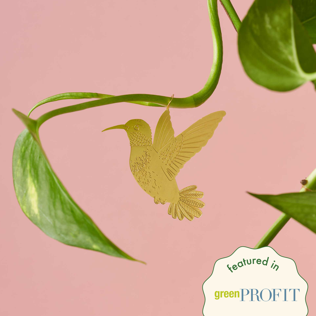 Houseplant Decoration, 8 Styles
