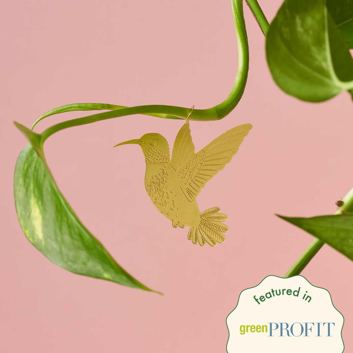 Houseplant Decoration, 8 Styles