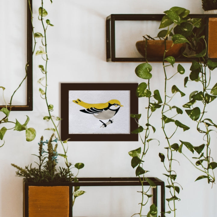 The completed goldfinch in a black frame hanging on a wall surrounded by three larger black frames with a philodendron vine hanging down the right and left sides.