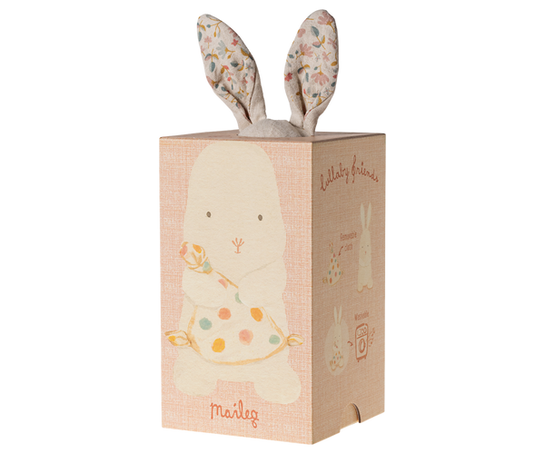 Box with drawing of rabbit, and the rabbit's ears sticking out the top.