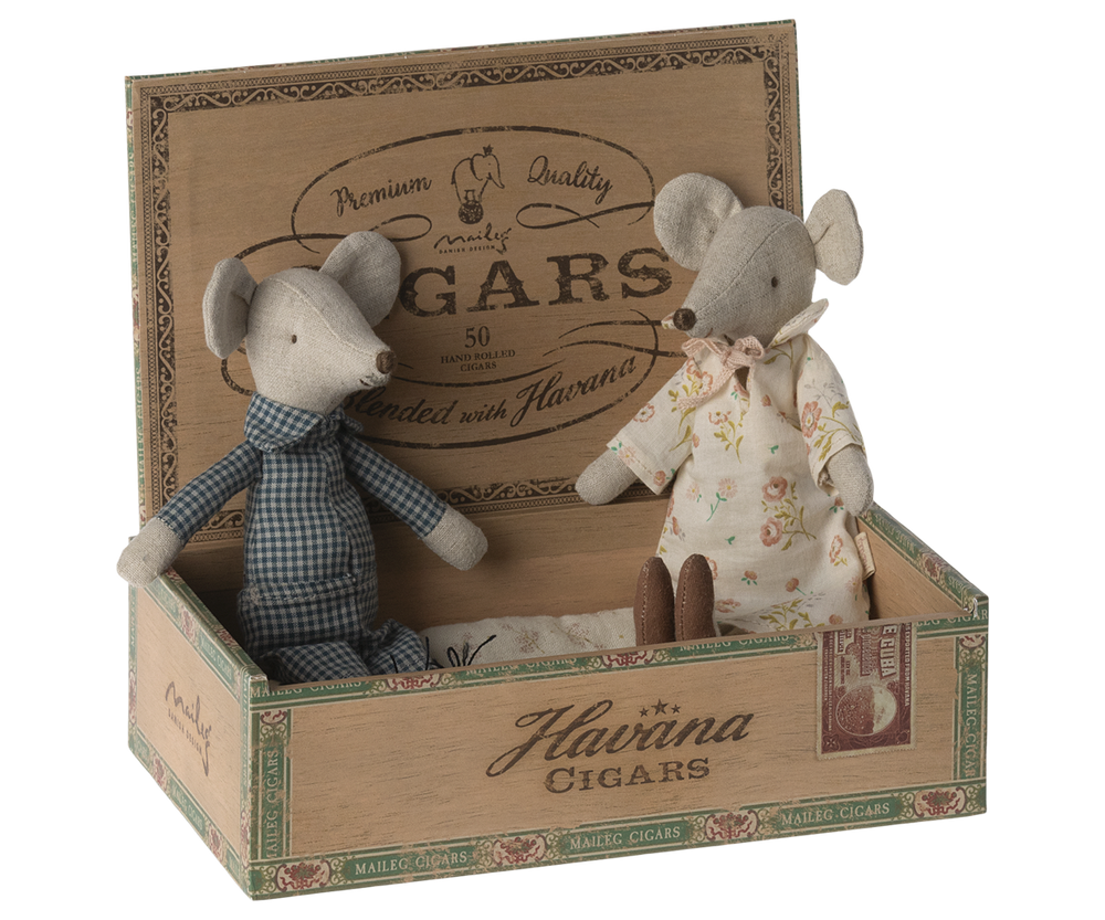 Grandma mouse sitting next to Grandpa mouse in the cigar box.