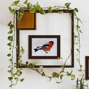 The completed robin in a black frame hanging on a wall within a larger black frame draped by a philodendron vine.