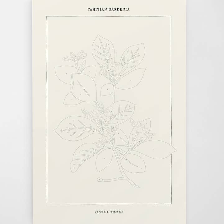 Template for painting the gardenia, with numbers of the corresponding paint color in each area.
