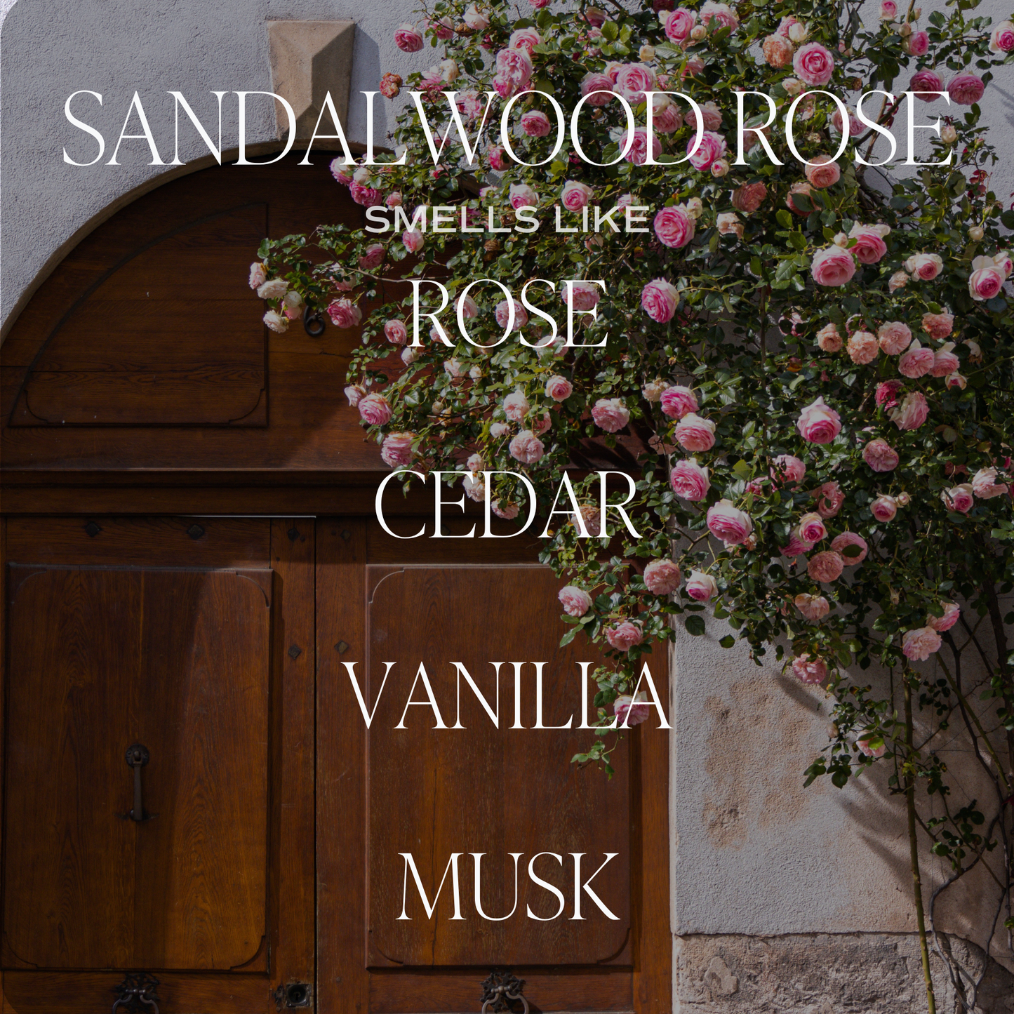 Sandalwood Rose Soy Candle, 11 oz