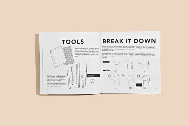 Open book showing the line drawings of the tools required and how to break down an object to draw it, using a camel as an example.