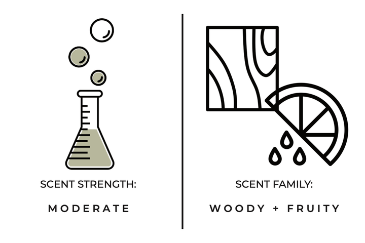 Diagram showing a beaker with bubbles labeled 'Scent Strength: Moderate' and a drawing of a board and lemon slice labeled 'Scent Family: Woody + Fruity.'