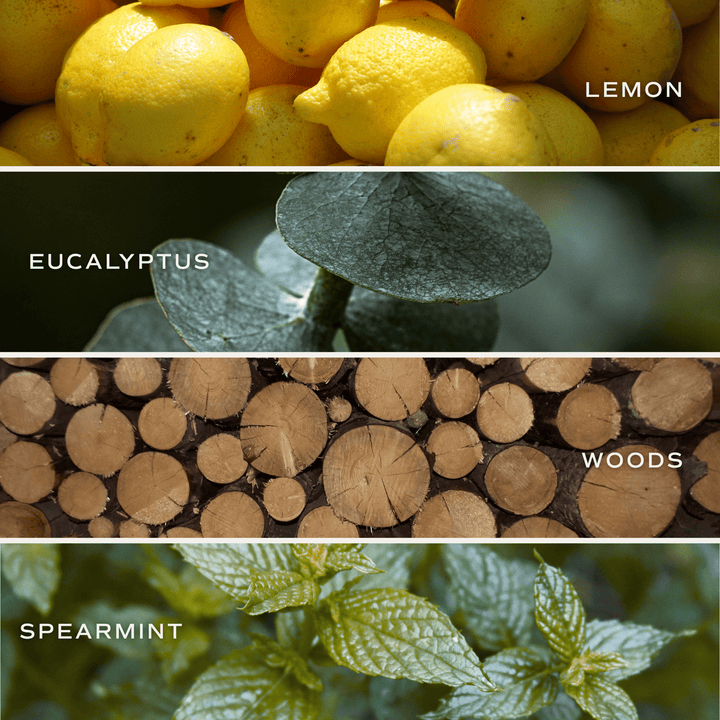 Collage of the scents in the diffuser: lemons, eucalyptus leaves, stacked logs, and spearmint leaves.