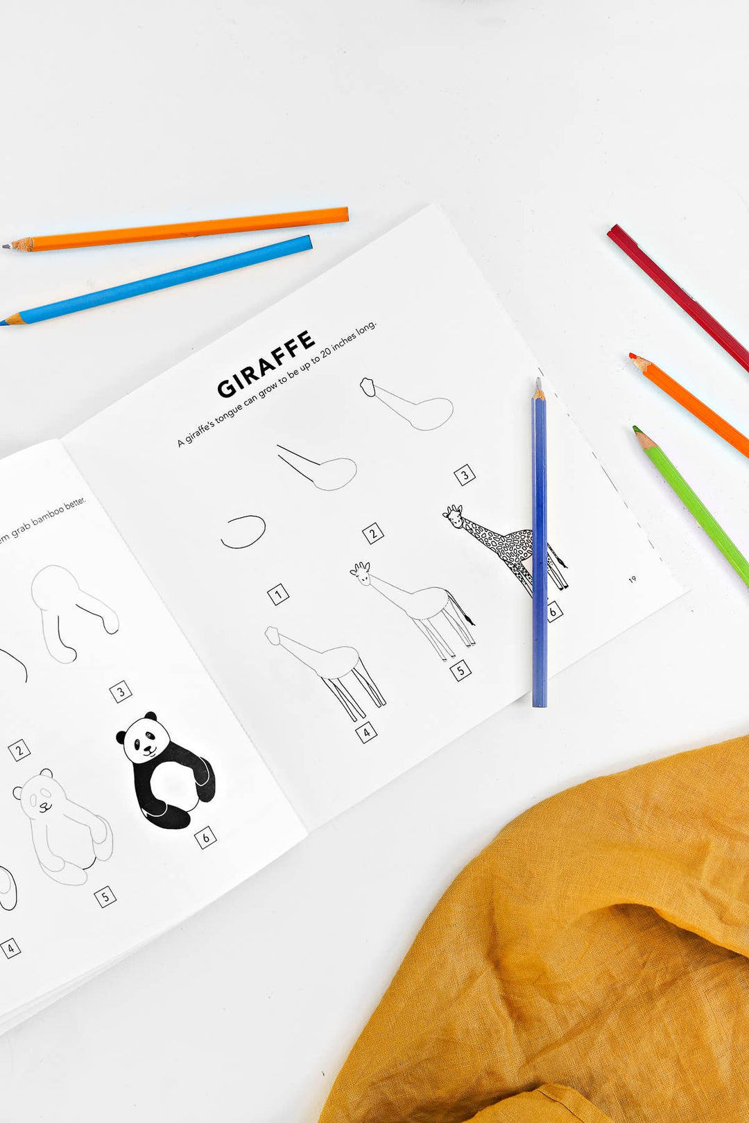 Page from a book showing the progression in drawing a giraffe, on a white desk with a variety of colored pencils.