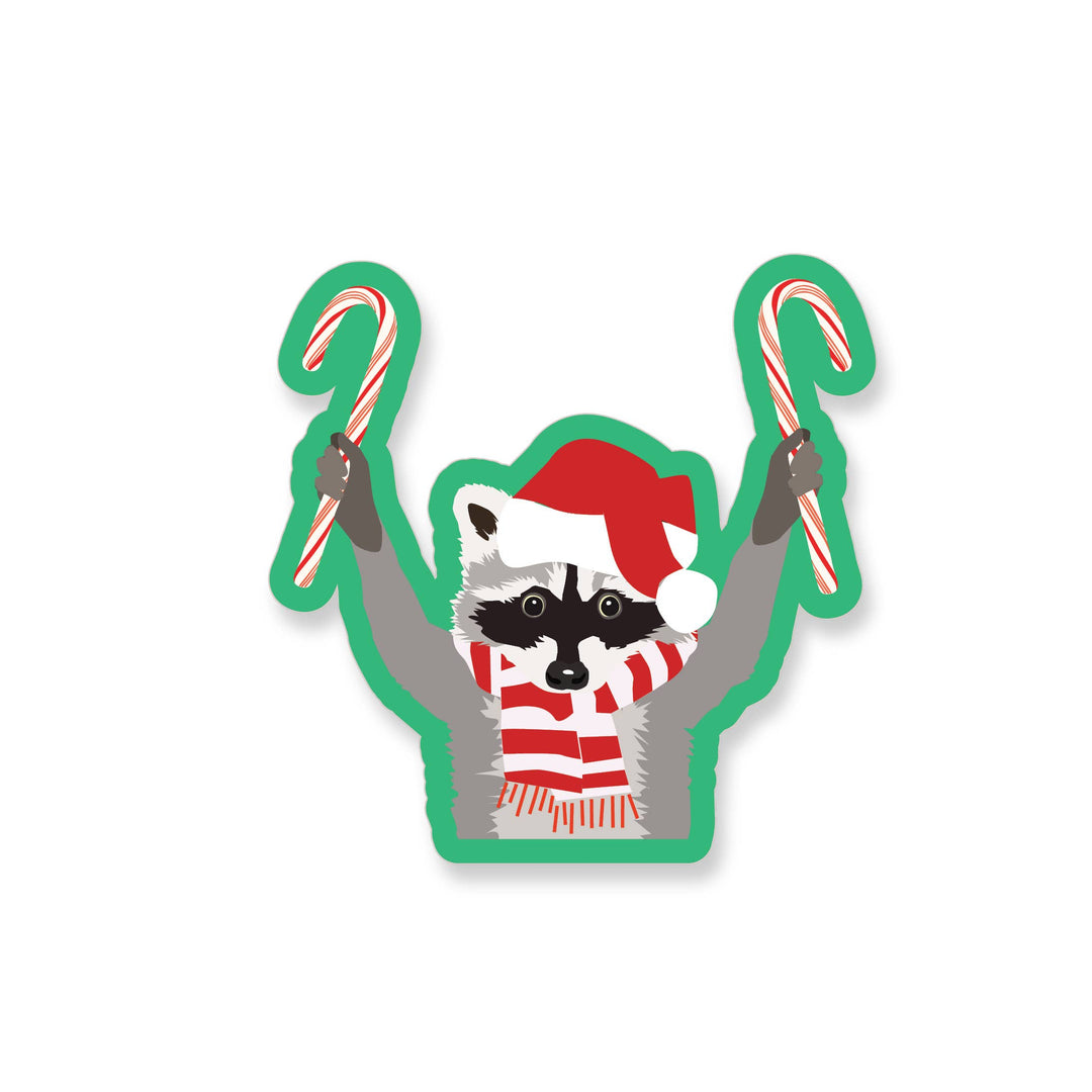 Raccoon wearing a red Santa cap and striped scarf, holding two large candy canes aloft.