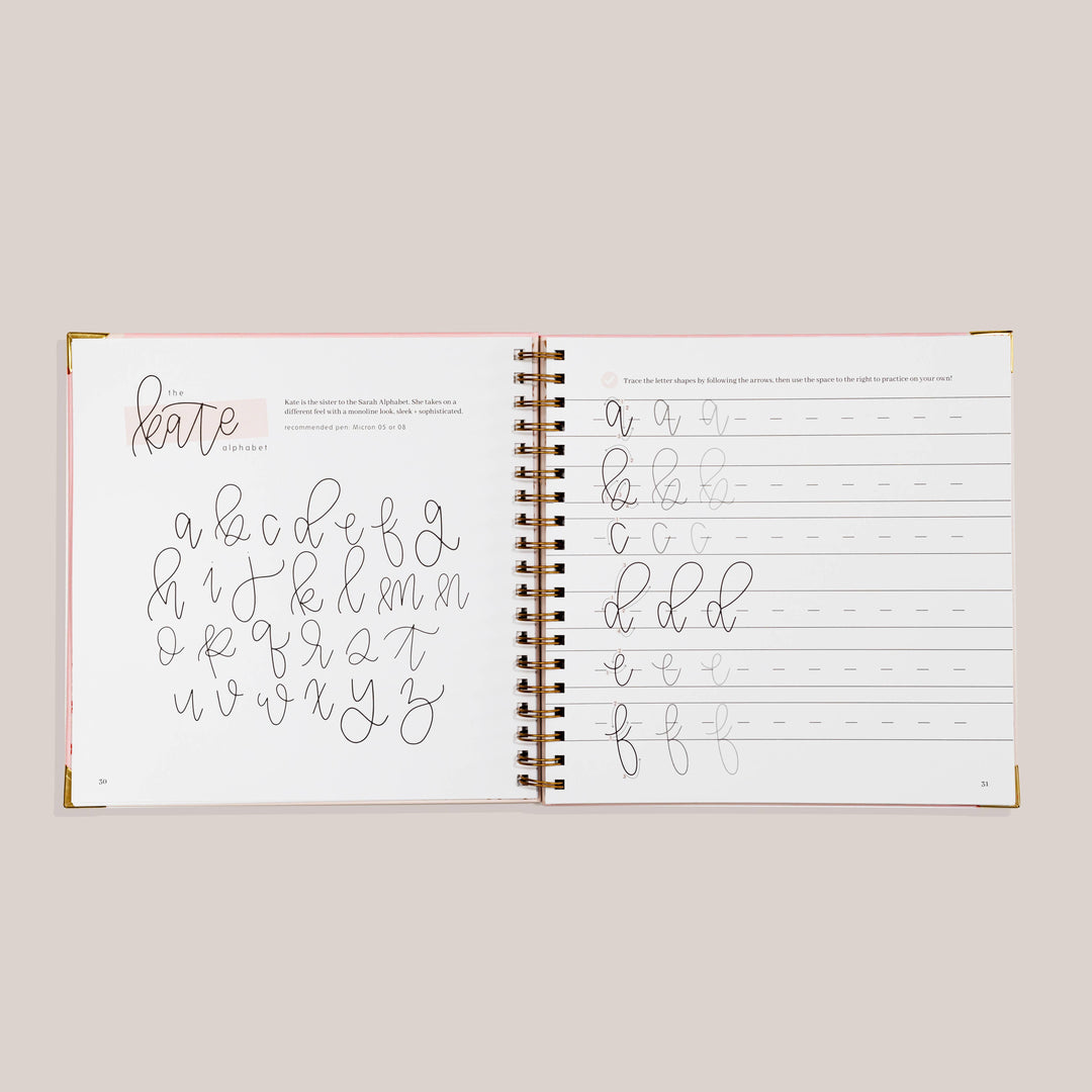 Open book showing calligraphy practice pages. 