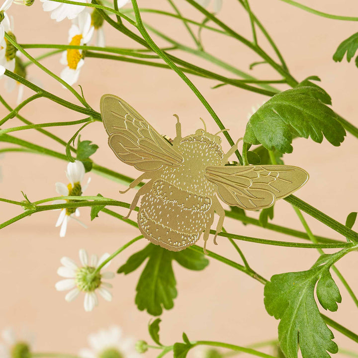 Houseplant Decoration, 8 Styles
