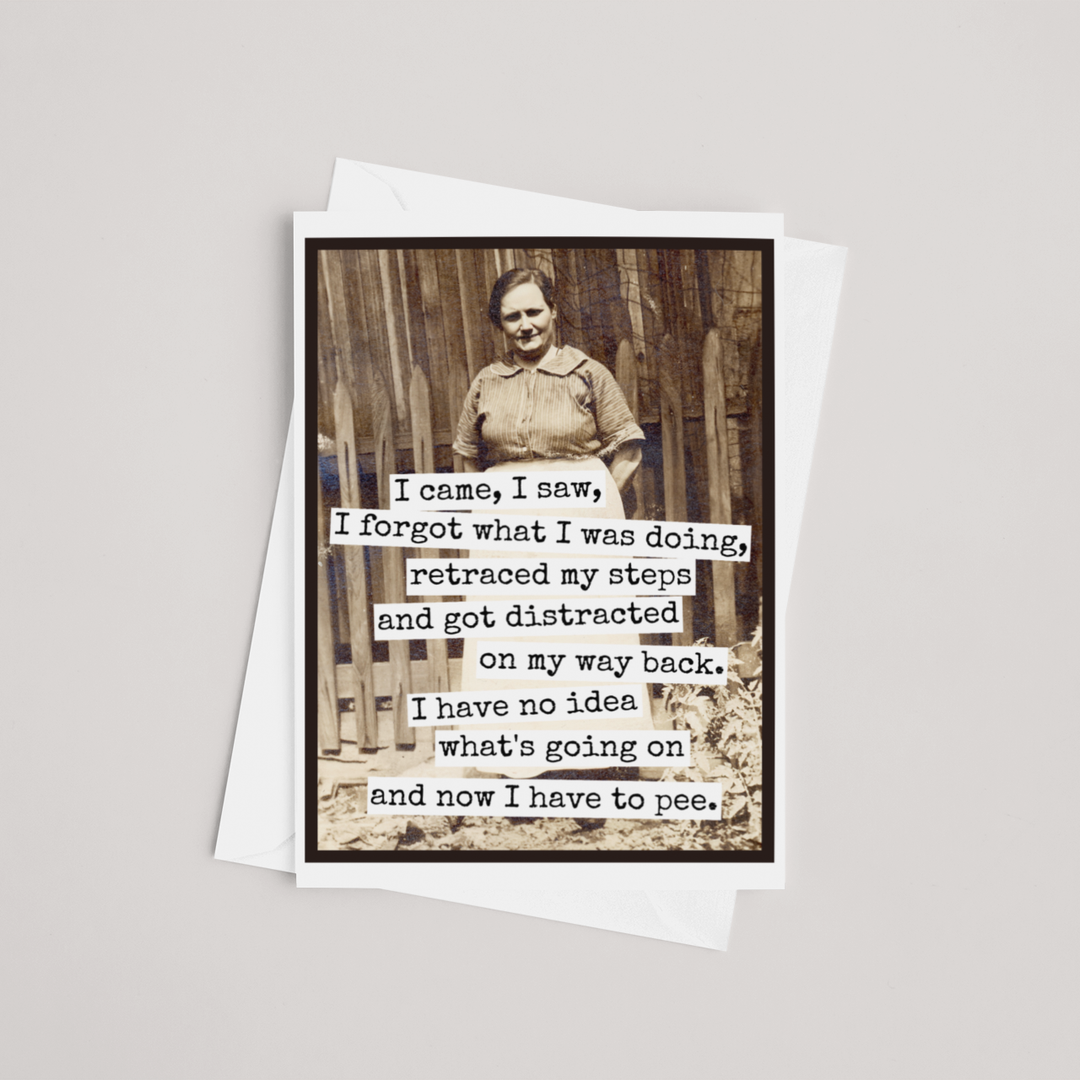 I Came, I Saw, I Forgot Greeting Card