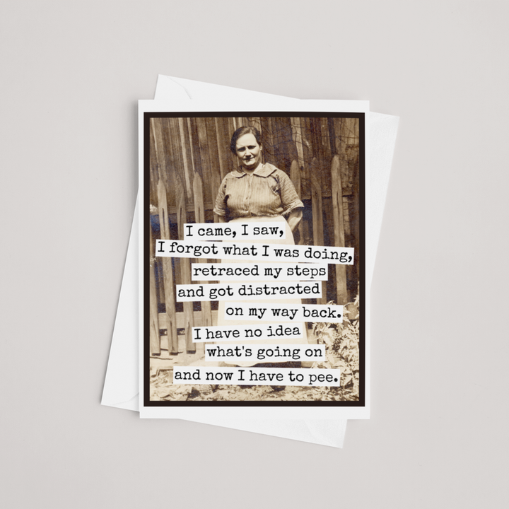 I Came, I Saw, I Forgot Greeting Card