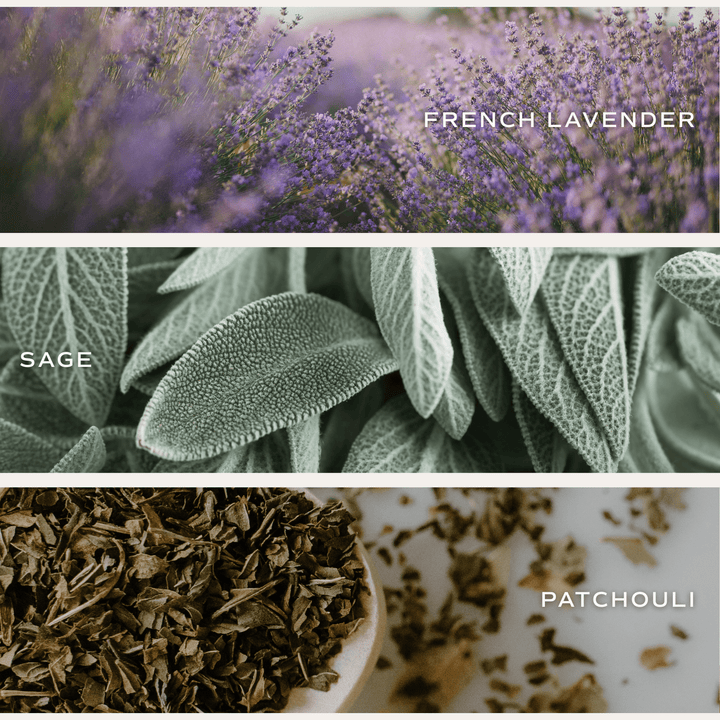 Collage of the scents in the candle: french lavender, sage, patchouli.