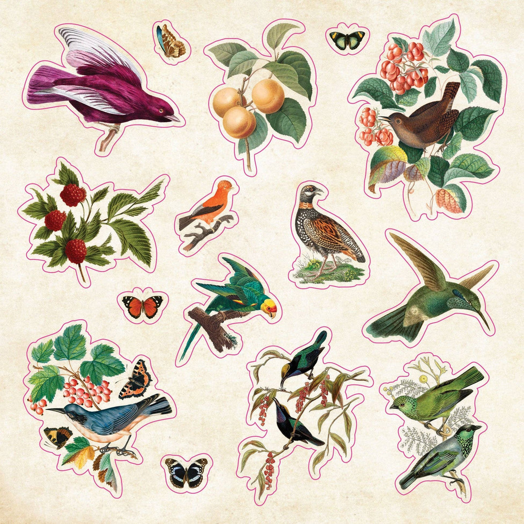 Sample page from sticker book with birds.