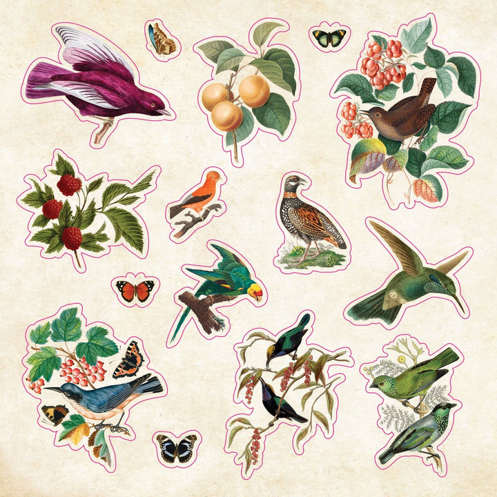 Sample page from sticker book with birds.