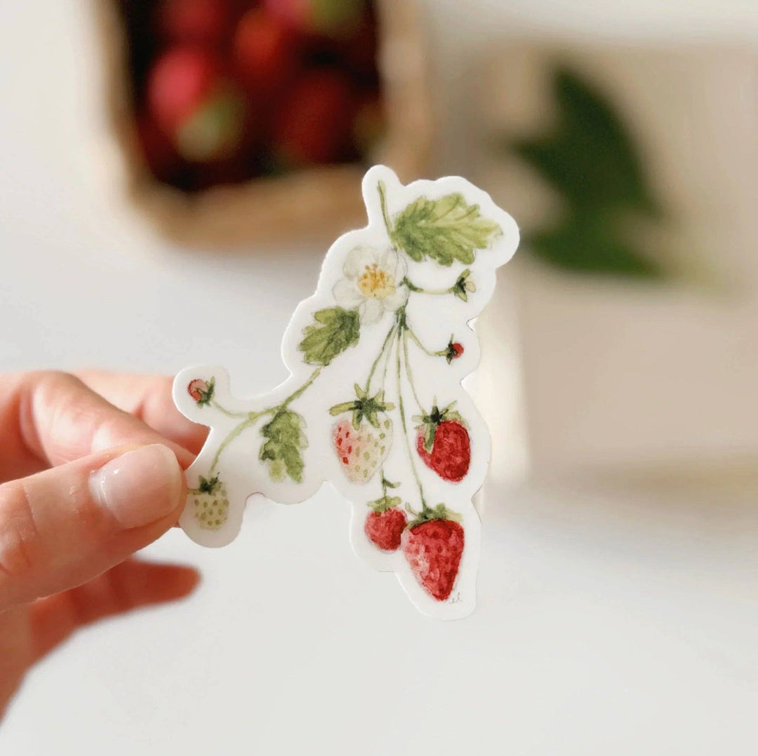 Hand holding sticker of a group of ripe and unripe small strawberries on a stem with leaves and a flower.