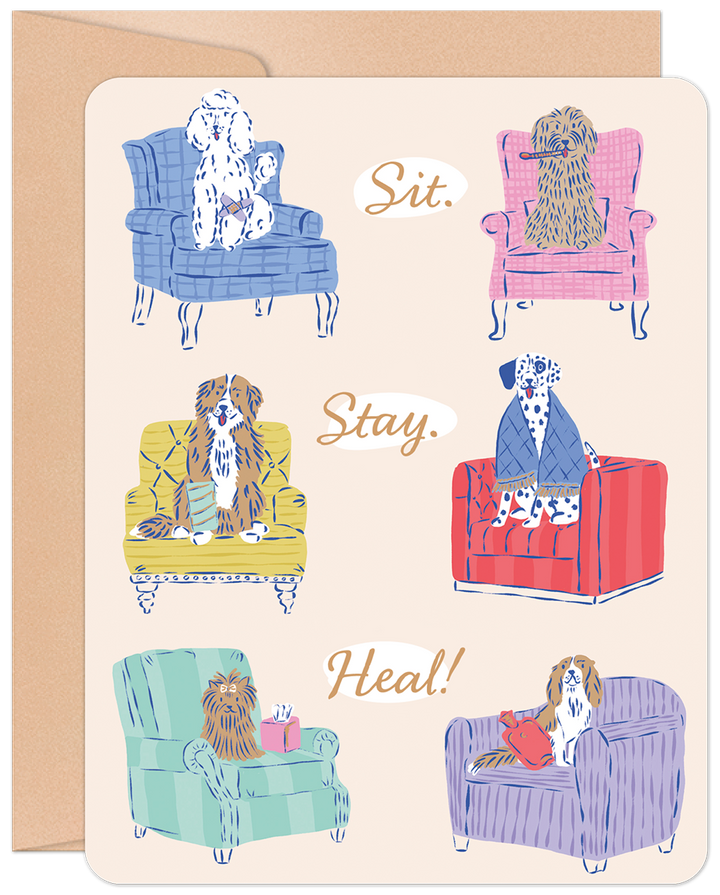Sit. Stay. Heal! Get Well Card
