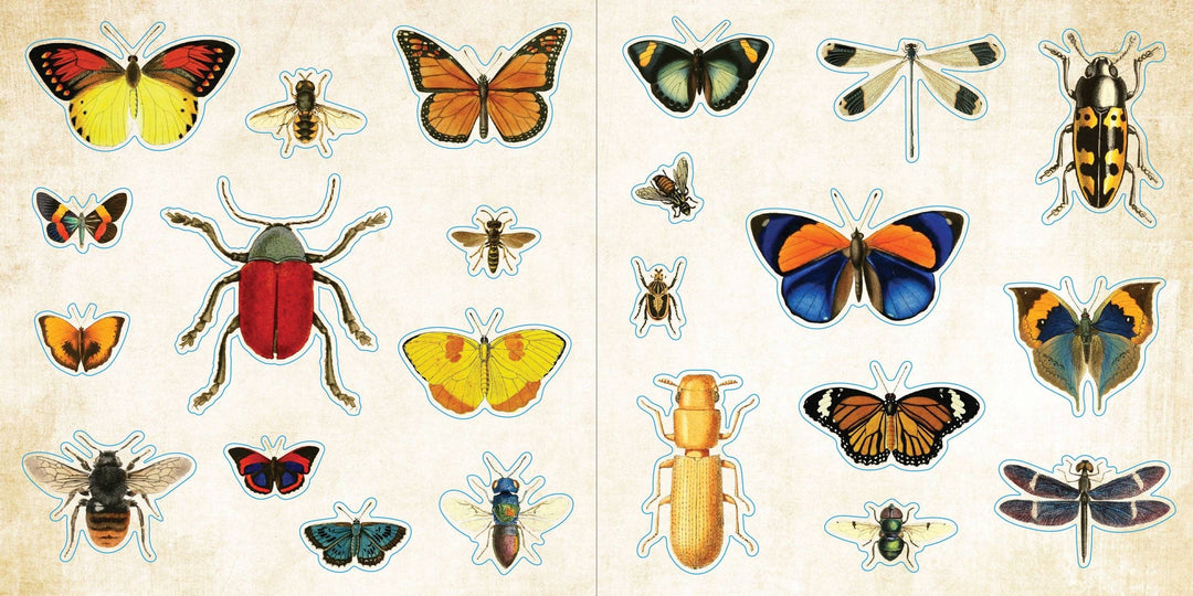 Sample page from sticker book with butterflies.