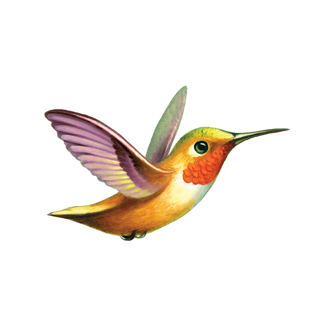 Temporary Tattoo Pairs, 41 Designs