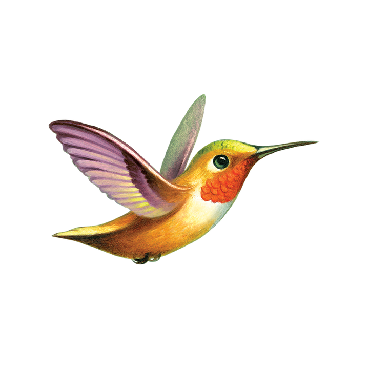 Temporary Tattoo Pairs, 41 Designs