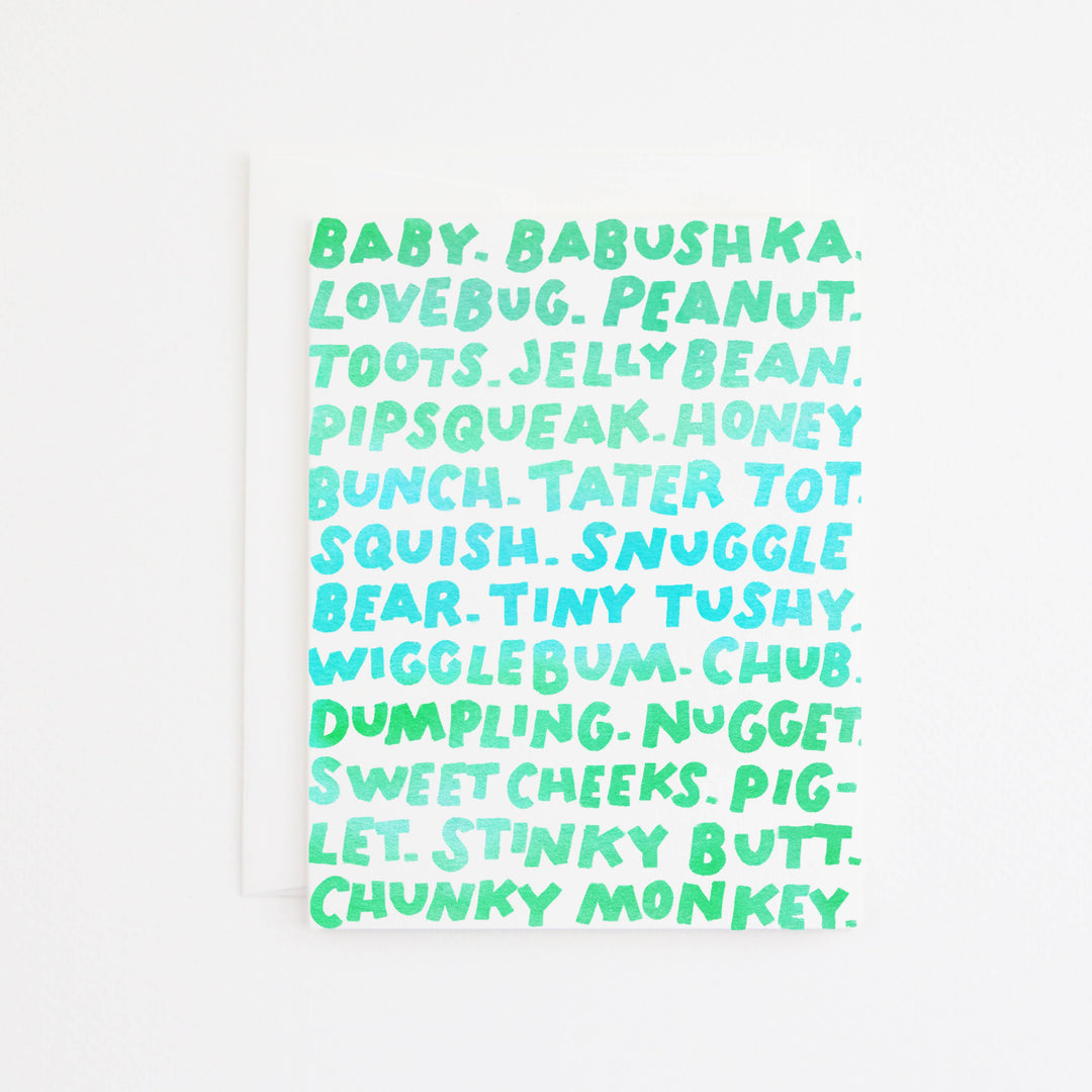 A white rectangular card with a list of playful pet names for babies printed in a light aqua hand-drawn font.