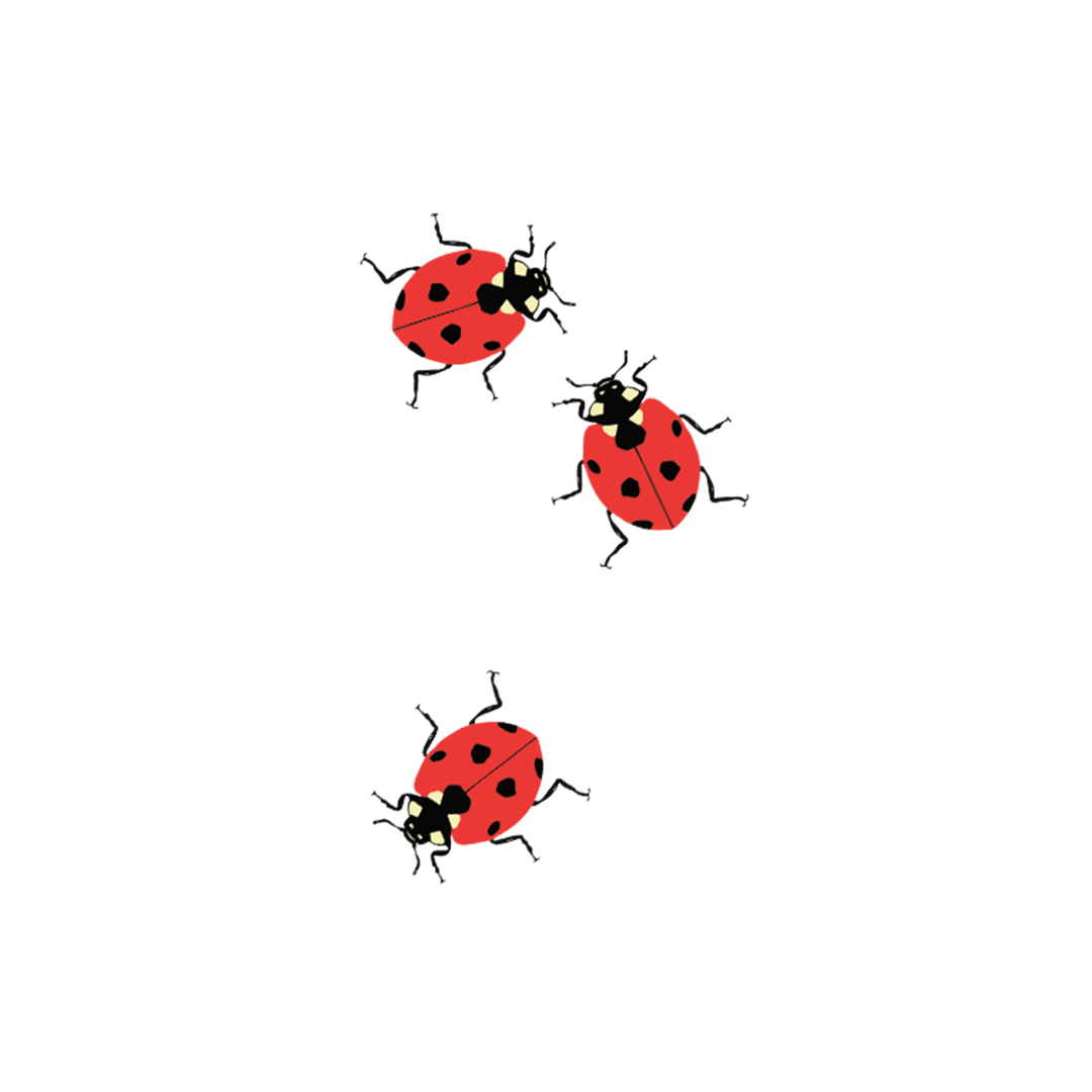 Temporary Tattoo Pairs, 41 Designs