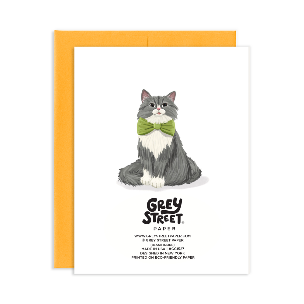 Back of card with the cat illustration from the front above Grey Street info.