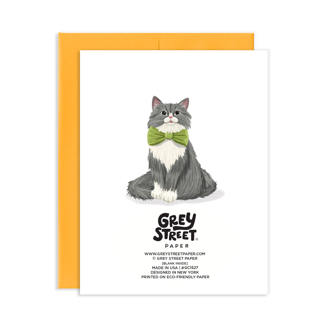 Back of card with the cat illustration from the front above Grey Street info.