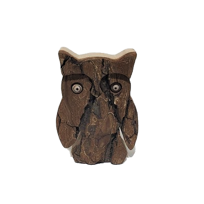 A small-size carved wooden owl figurine with textured details and large white eyes with black pupils. The front of the owl is bark and the sides and back are smooth wood.