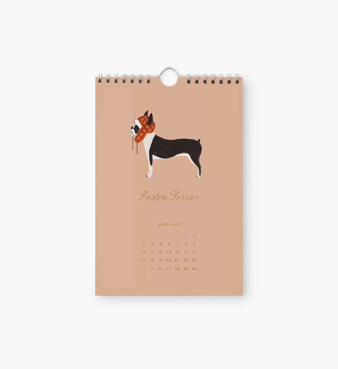 Calendar page for January with a Boston Terrier earing a winter hat.