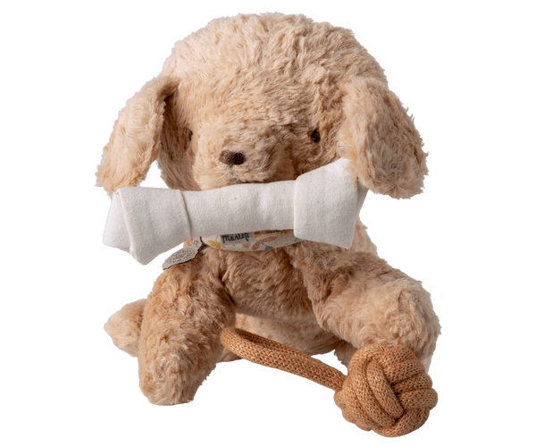 Pet Toys