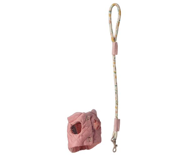 Pet Leash and Harness