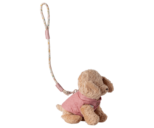 Pet Leash and Harness