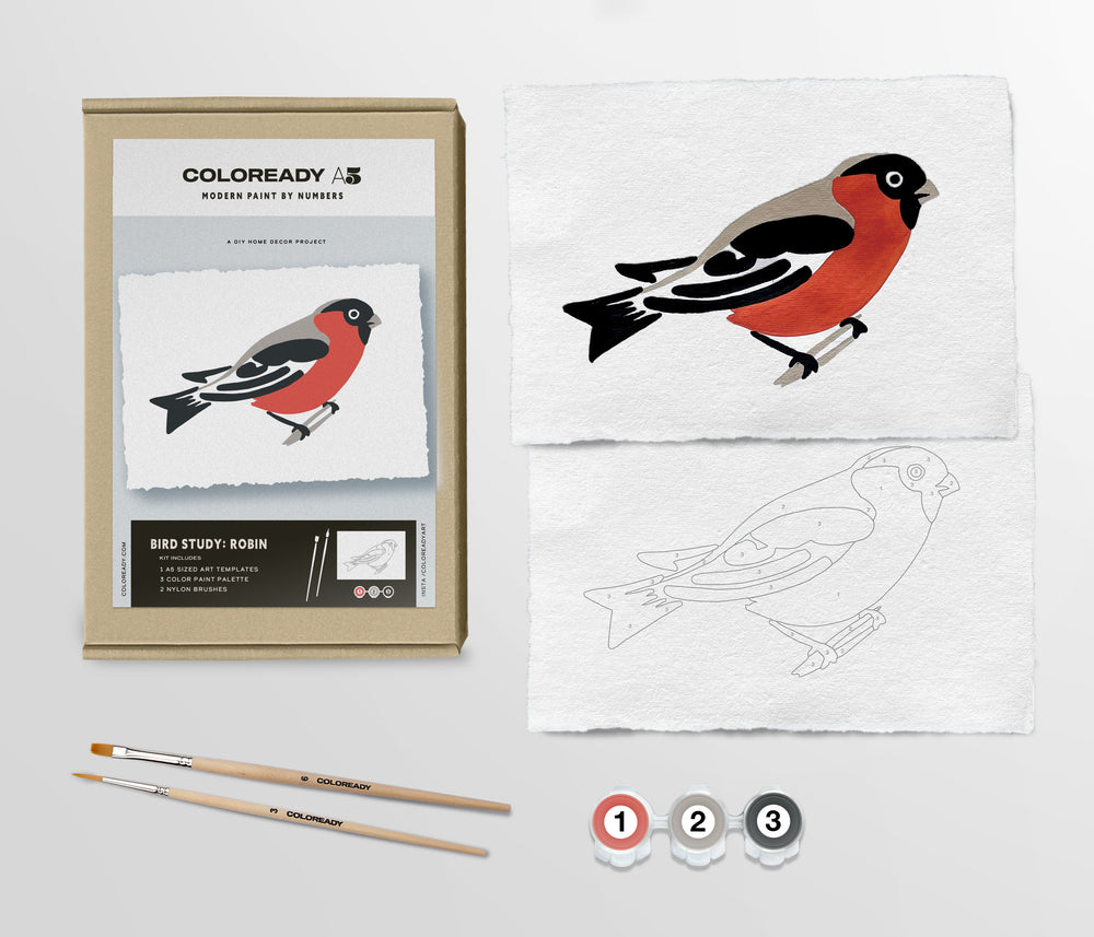 Components of the kit next to its package. Shown are the completed painting of the robin, the outline of the bird ready to paint, two paint brushes and three small containers of red, gray and black paint.