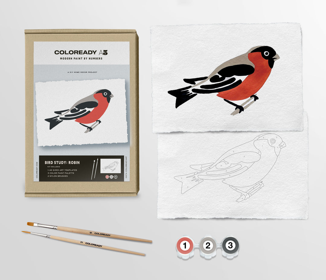 Components of the kit next to its package. Shown are the completed painting of the robin, the outline of the bird ready to paint, two paint brushes and three small containers of red, gray and black paint.