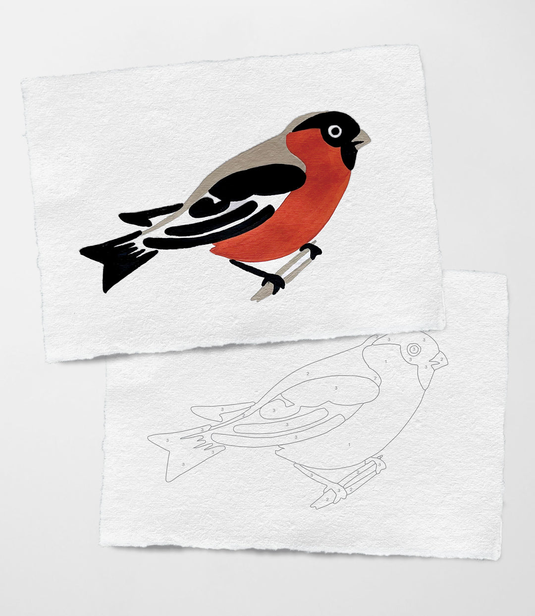 Two square white art cards with deckled edges. The top card shows a robin in colors of black, red-orange, gray, and white. The bottom card shows an outline of the bird with a number of the color to apply to each area.