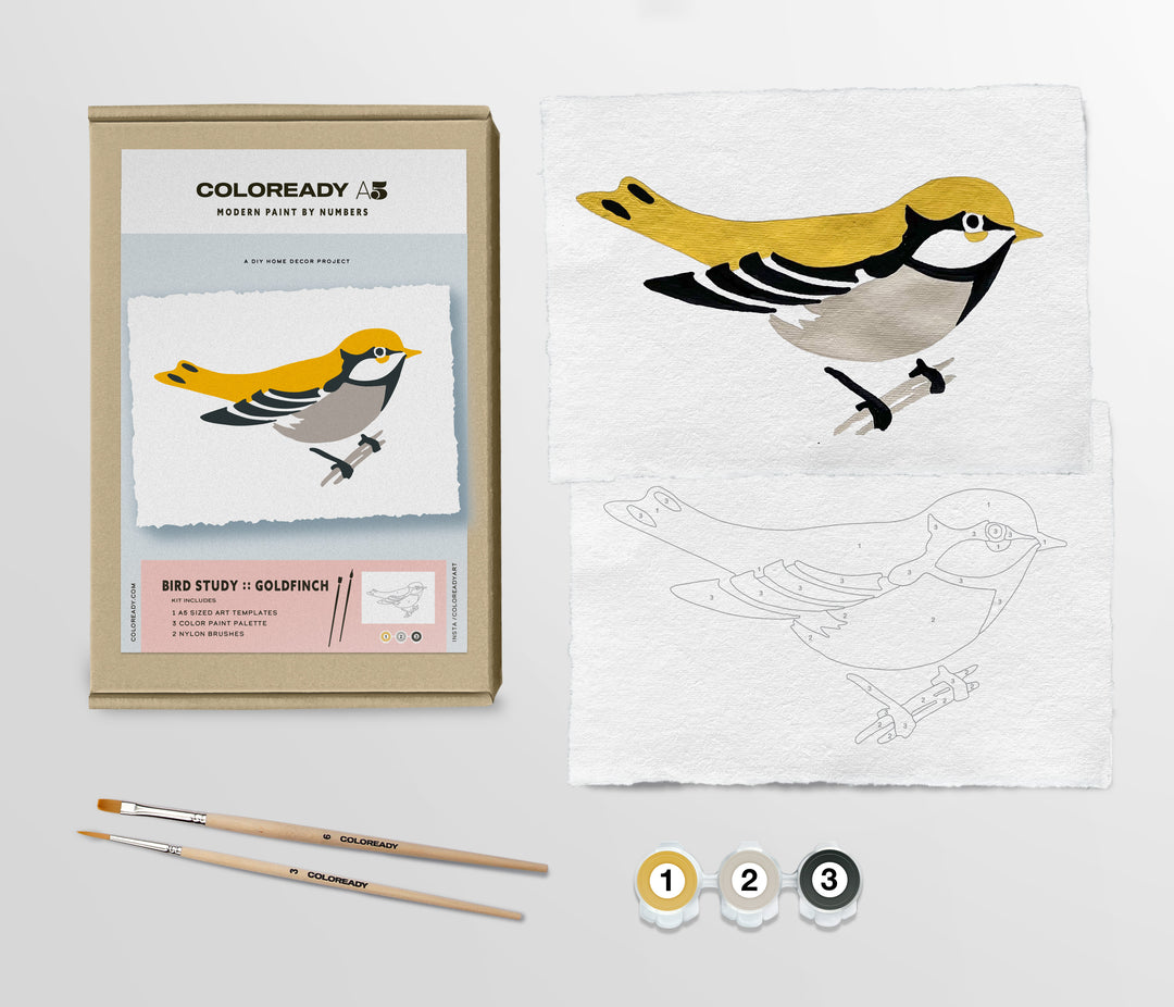 Components of the kit next to its package. Shown are the completed painting of the goldfinch, the outline of the bird ready to paint, two paint brushes and three small containers of yellow, gray and black paint.
