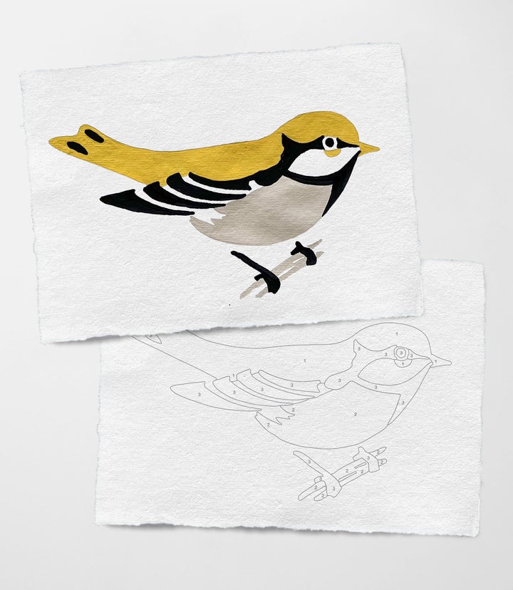 Two square white art cards with deckled edges. The top card shows a goldfinch in colors of yellow, black, gray, and white. The bottom card shows an outline of the bird with a number of the color to apply to each area.
