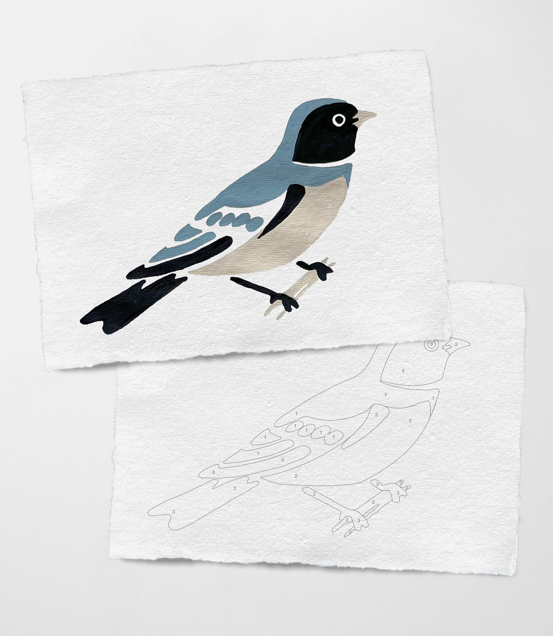 Two square white art cards with deckled edges. The top card shows a swallow in colors of black, blue, gray, and white. The bottom card shows an outline of the bird with a number of the color to apply to each area.